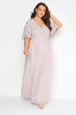 LUXE Curve Pink Floral Hand Embellished Maxi Dress