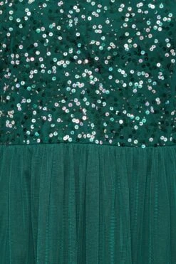 LUXE Curve Forest Green Sequin Hand Embellished Maxi Dress -JOICY Clothing Shop 98226afb 581c 4d 161988 Z