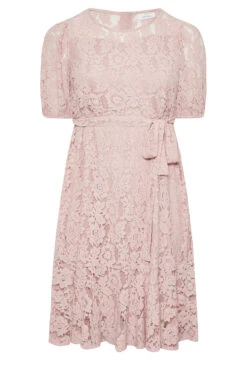 YOURS LONDON Curve Light Pink Floral Lace Skater Dress -JOICY Clothing Shop d8c6f0b3 3b2f 45 161996 X