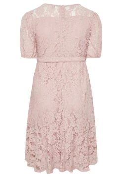 YOURS LONDON Curve Light Pink Floral Lace Skater Dress -JOICY Clothing Shop e9b439a9 b360 40 161996 Y